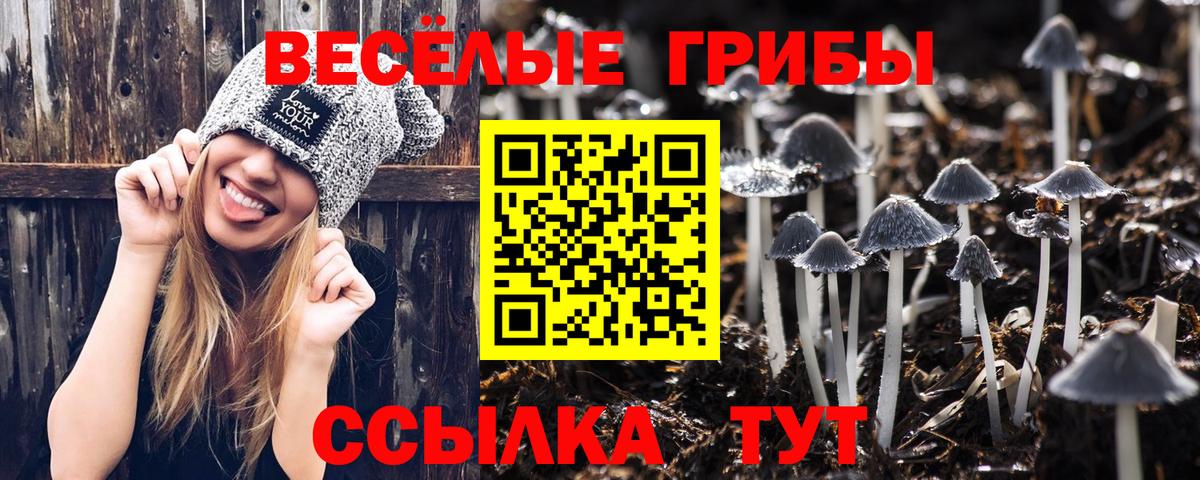 Галлюциногенные грибы мицелий  Галлюциногенные грибы GOLDEN TEACHER  Вход с VPN  Фролово 